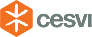 Cesvi