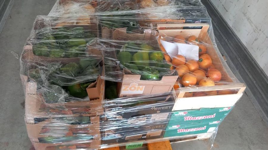 Mixed pallet of fresh fruit and vegetables